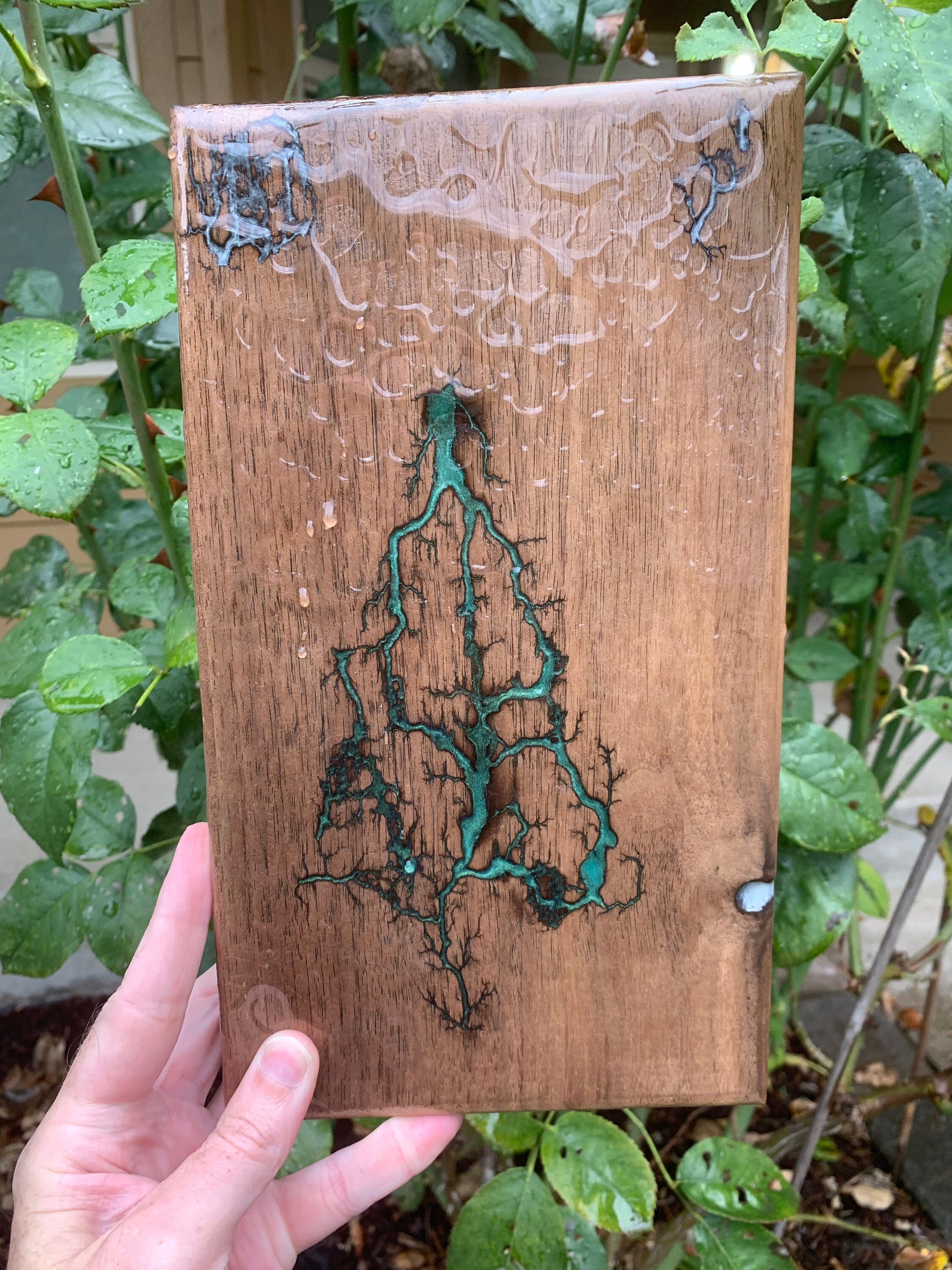 Fractal Lichtenberg Walnut Epoxy Wood Art With Rainwater Etsy