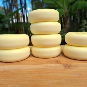 Zero Waste Shampoo Bars