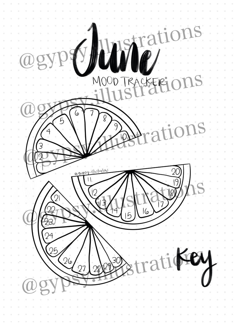 June Mood Tracker Printable Citrus Slices bullet Journal - Etsy