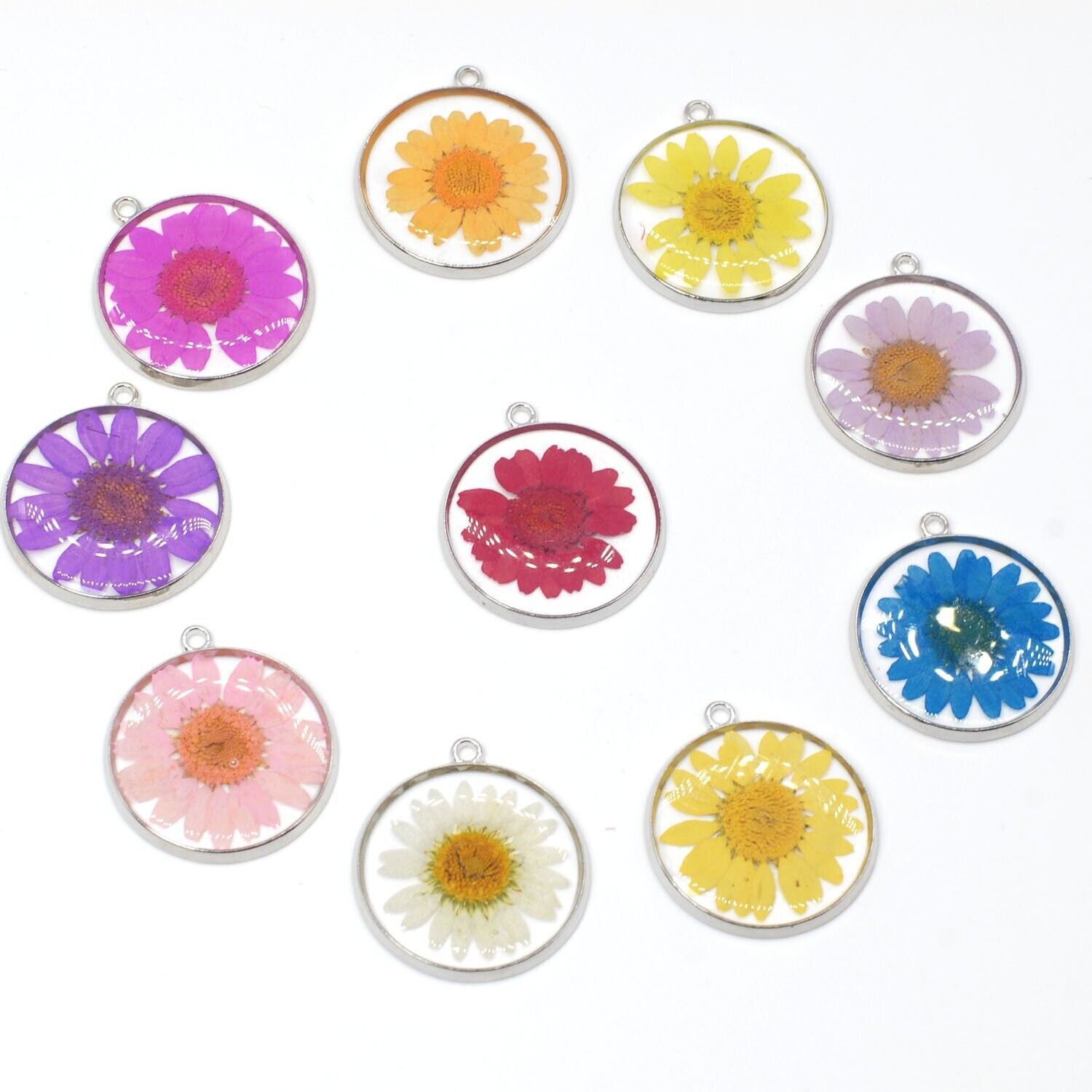 4PCS Silver Tone Real Dried Daisy Flower Resin Round 30mm