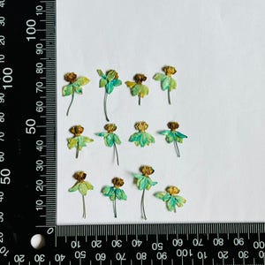 12 pcs vraies fleurs séchées pressées, fleur d'asclépiade avec tige pour l'artisanat d'art DIY FJN03-Bleu