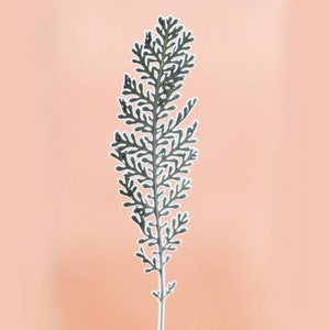 12PCS Real Pressed Dried Leaves, Floral Supply for art craft FSS14