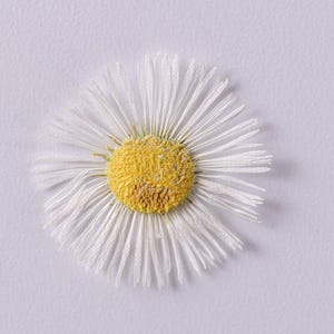 48 pcs vraie fleur de vergerette séchée et pressée 14 couleurs de fleur pour l'art FCD04