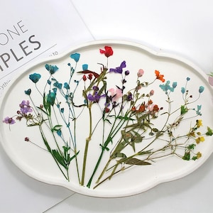 Petite fleur pressée côté vrai 12 pièces, fleur de gypsophile, couleurs teintes avec tige de feuilles FHT03