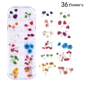 36 Vraies fleurs séchées pressées mélangées avec collection de tiges, 12 couleurs FCD504-14