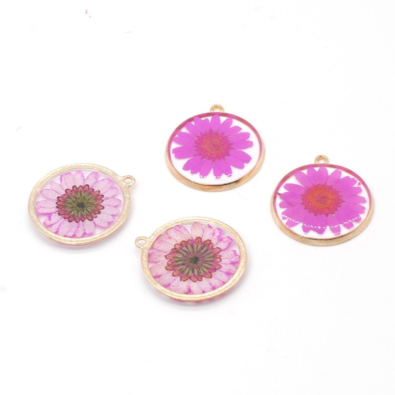 ★daisy★✾14kgf Clearance 8PCS Gold Tone Real Dried Daisy Flower Resin Round