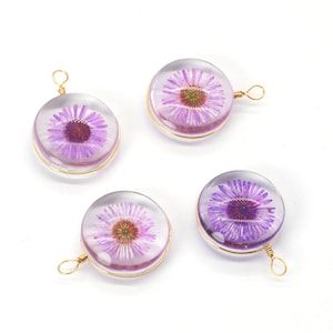 Clearance 8PCS Gold Tone Real Dried Pressed Daisy Flower Glass Round Charm, Purple Flower Round Shape  GQL822