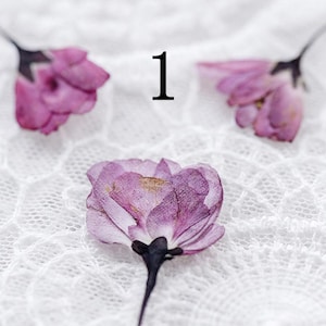 12 pcs véritable bouton floral pressé avec tige, boutons floraux de couleurs naturelles rouge rose, pour l'artisanat, l'art, la fabrication de bougies FSS99