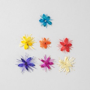 May include: Seven pressed flowers arranged in a triangular pattern on a white background. The flowers are blue, yellow, orange, red, pink, and white.