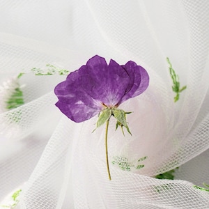 May include: A single purple flower with a green stem on a white background with a green pattern.