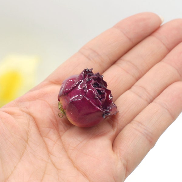 Dark Red Dried Roses - Etsy