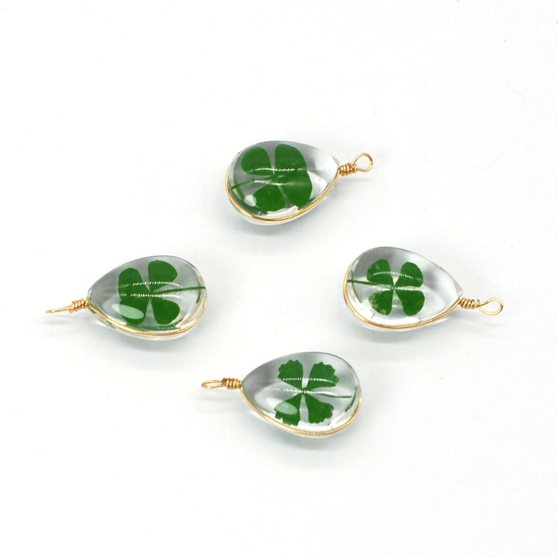 6PCS Gold Tone Real Dried Pressed Daffodil Flower Glass Round Charm
