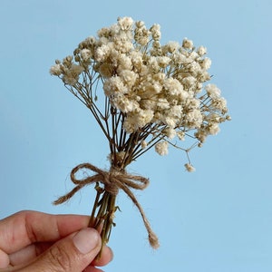 May include: A bouquet of dried baby's breath flowers tied with twine. The flowers are white and have a delicate, feathery texture.