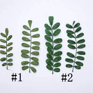 12PCS real Pressed dried leaves, Floral supply for art craft FSS13