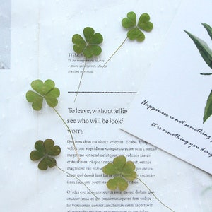 12 pcs vraies feuilles séchées pressées en forme de coeur avec tige pour l'art, pour bougie, pour savon, couleur vert foncé FSS89