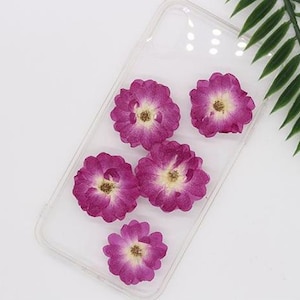 12 vraies têtes de roses séchées pressées, couleur pourpre naturelle FHT54