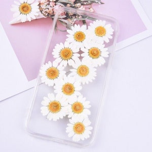 12 pcs vraies fleurs séchées pressées, fleur de marguerite blanche pour l'art, bougie, artisanat FCD27
