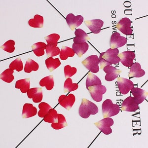 20 pcs véritables pétales de rose pressés en forme de fleur, rose, violet FCD02