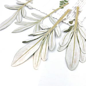 12 pcs vraies feuilles séchées pressées, feuilles avec tige pour l'art, bougie DIY FJN11