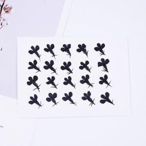 20 pièces véritables fleurs de Lobelia Erinus séchées et pressées avec tige de feuille, fleur teinte en noir pour travaux manuels d'art FCD18