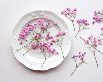 12PCS real Pressed Baby's Breath Flower with stem, 8 colors dyed available FCD24