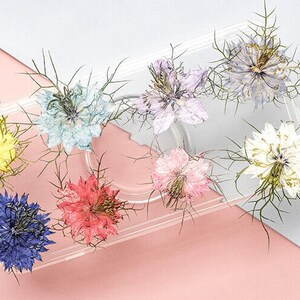 May include: A collection of dried flowers in various colors, including blue, yellow, pink, and white, arranged in a clear plastic container.