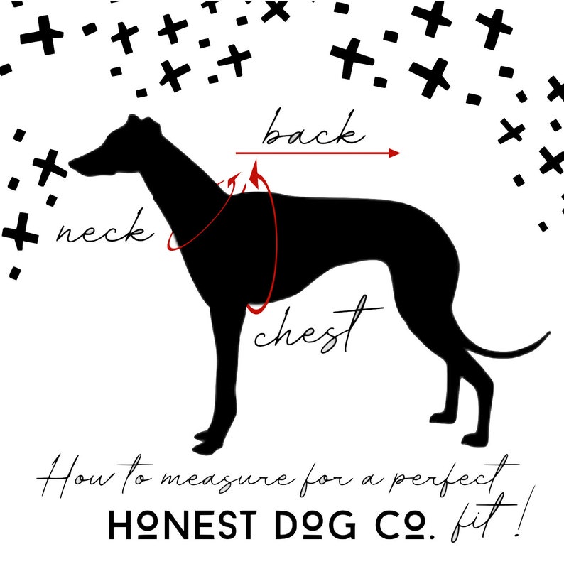 dog tee pet outfit designer dog clothes whiskey country music fan Smooth As Tennessee Whiskey dog shirt dog boutique dog clothes