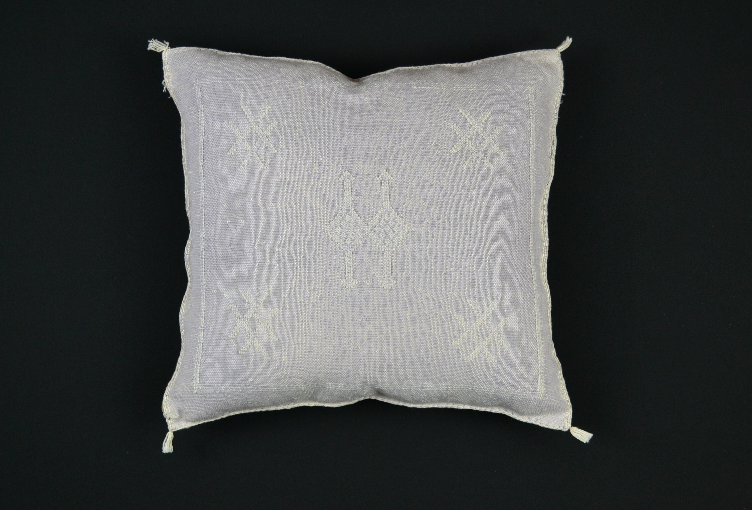 Coussin en Soie de Cactus 45x45 cm/ Coussin Sabra/ Housse + Garniture/ Artisanat Marocain/ Tissé Mai