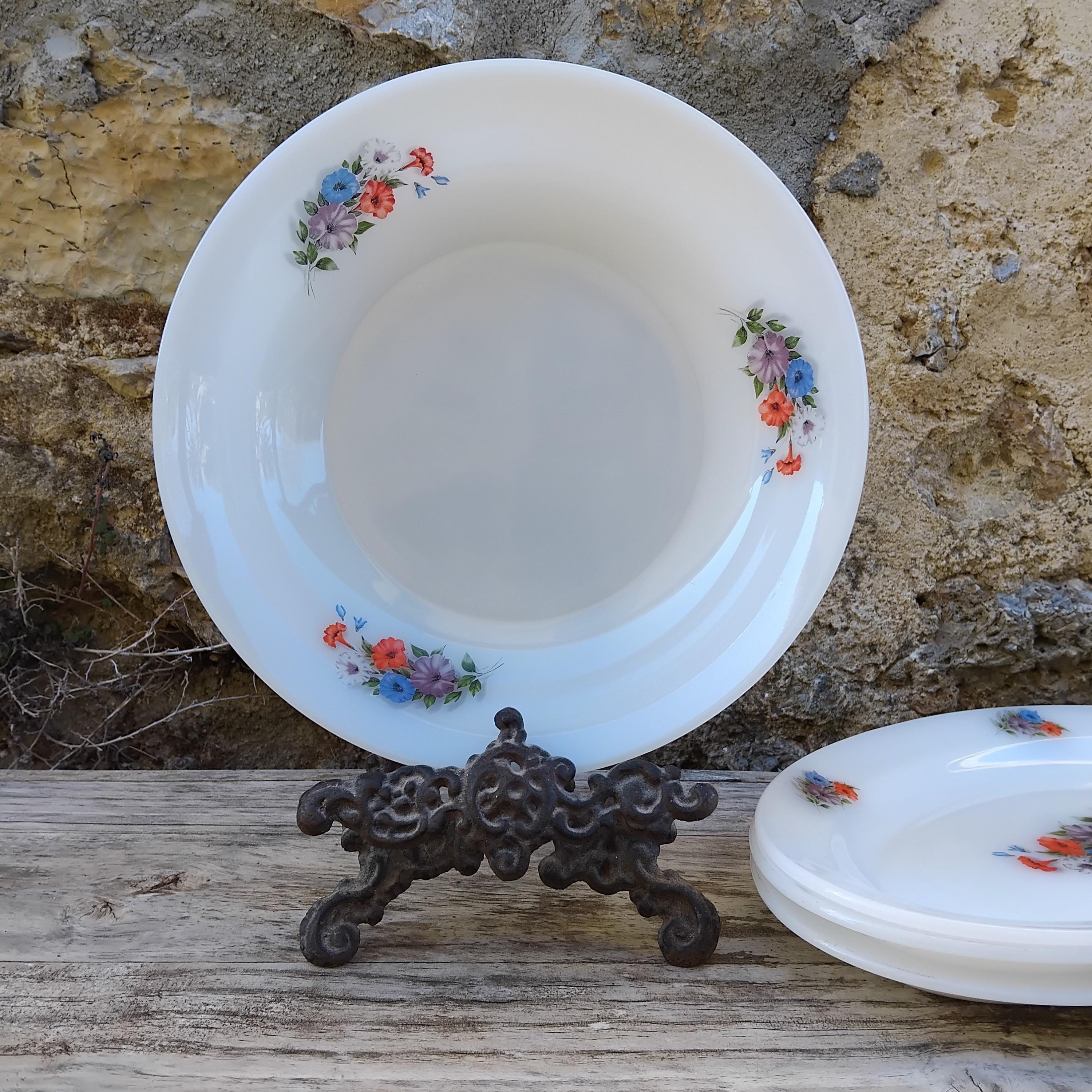 Plat Rond Creux Arcopal En Verre Opale - Motif Roseraie, Vintage XXe Siècle