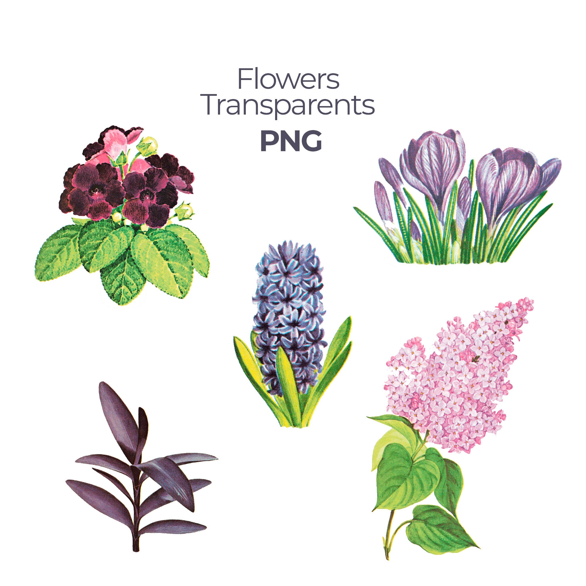 Flowers overlays photoshop overlay photo prop transparent | Etsy