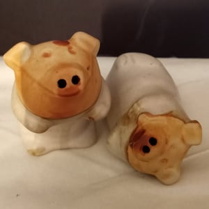 Handmade Pottery Pig Speckled Natural Stoneware Salt and Pepper Shakers, Made in Japan, 1980s