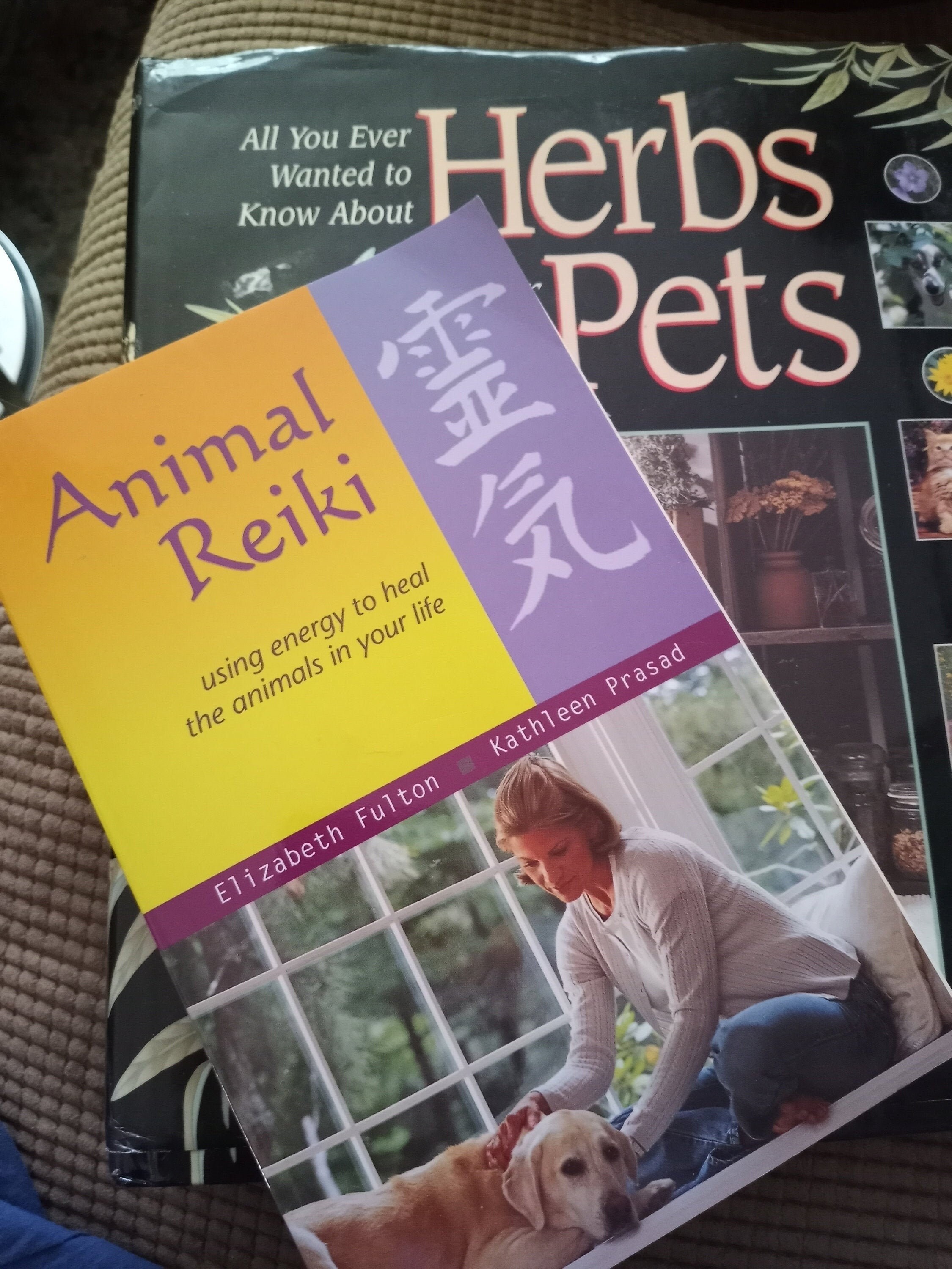 Buy Book Set herbs for Pets by Mary L. Wulff and Online in India - Etsy Buy Book Set herbs for Pets by Mary L. Wulff and Online in India - Etsy