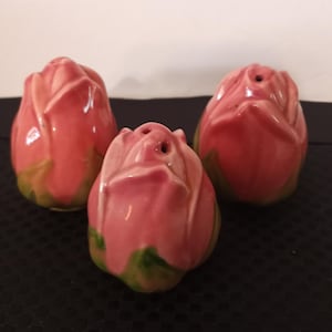 Vintage Franciscan Desert Rose Shakers: Mid-Century Earthenware Set