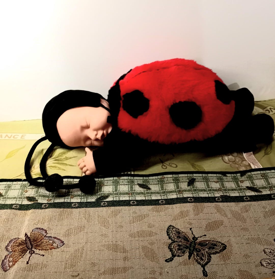 Vintage Anne Geddes Ladybug Baby Plush Doll: 1990s Nursery Decor  Denmark