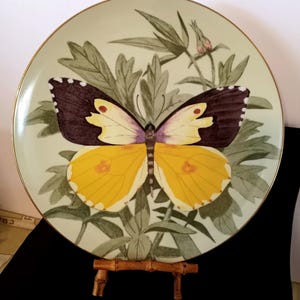 May include: A decorative plate featuring a detailed butterfly design. The butterfly has yellow and brown wings with a purple body, set against a light green background with leafy foliage. The plate has a gold rim and is displayed on a bamboo stand.