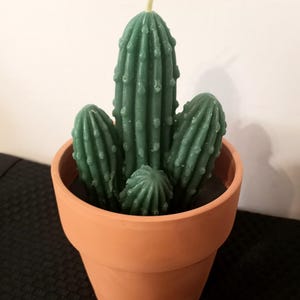 Vintage Cactus Candle in Terracotta Pot: Southwestern Home Decor