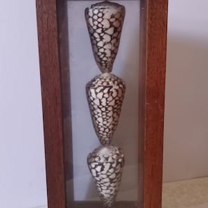 Shadow Box marbré japonais vintage en forme de cône : oeuvres d&#39;art déco de plage