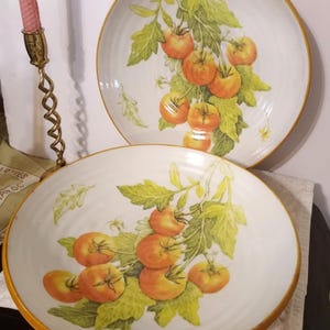 Vintage Williams Sonoma Pasta Bowls - Etsy