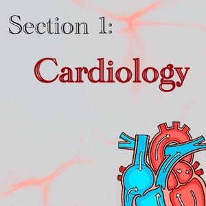 Może przedstawiać: Obraz z tekstem "Section 1: Cardiology" w kolorze czarnym i czerwonym. Szczeg&oacute;łowa ilustracja serca w kolorze czerwonym, niebieskim i białym znajduje się w prawym dolnym rogu. Tło jest jasnoszare z czerwonymi abstrakcyjnymi kształtami.