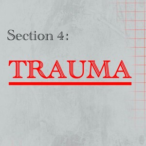Może przedstawiać: Szare tło z czerwonym wzorem kratki i tekstem "Section 4: TRAUMA". Słowo "TRAUMA" jest pogrubione, czerwone i w kroju bezszeryfowym. "Section 4:" jest czarne.