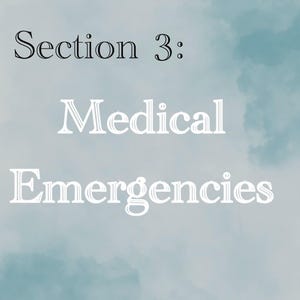 Może przedstawiać: Obraz cyfrowy z zachmurzonym niebiesko-białym tłem. Tekst "Section 3: Medical Emergencies" jest wyświetlany w połączeniu czarnych i białych czcionek. Tekst jest wyśrodkowany i łatwy do odczytania.