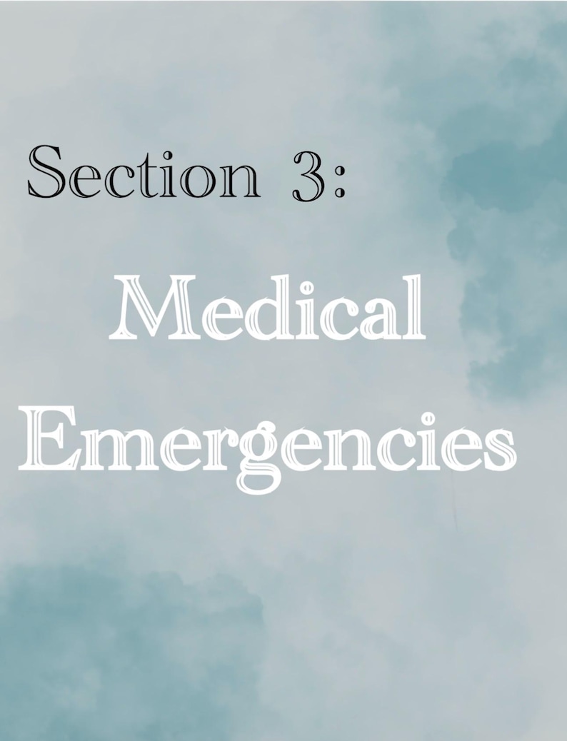 Może przedstawiać: Obraz cyfrowy z zachmurzonym niebiesko-białym tłem. Tekst "Section 3: Medical Emergencies" jest wyświetlany w połączeniu czarnych i białych czcionek. Tekst jest wyśrodkowany i łatwy do odczytania.