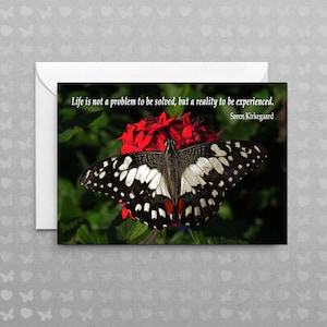 Puede incluir: Una mariposa negra y blanca con detalles rojos se posa sobre una flor roja. La cita "La vida no es un problema que se deba resolver, sino una realidad que se debe experimentar. - Søren Kirkegaard" está impresa en la tarjeta.