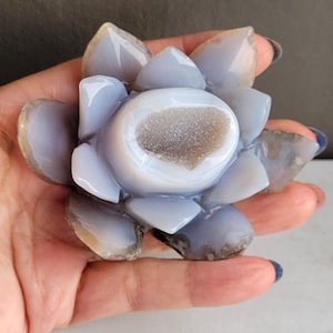 Peut inclure: Une pierre de calcédoine bleu clair sculptée en forme de fleur de lotus avec de multiples pétales lisses et superposés. Le centre de la fleur présente une cavité cristalline druzy naturelle, texturée et gris clair, contrastant avec la pierre polie.