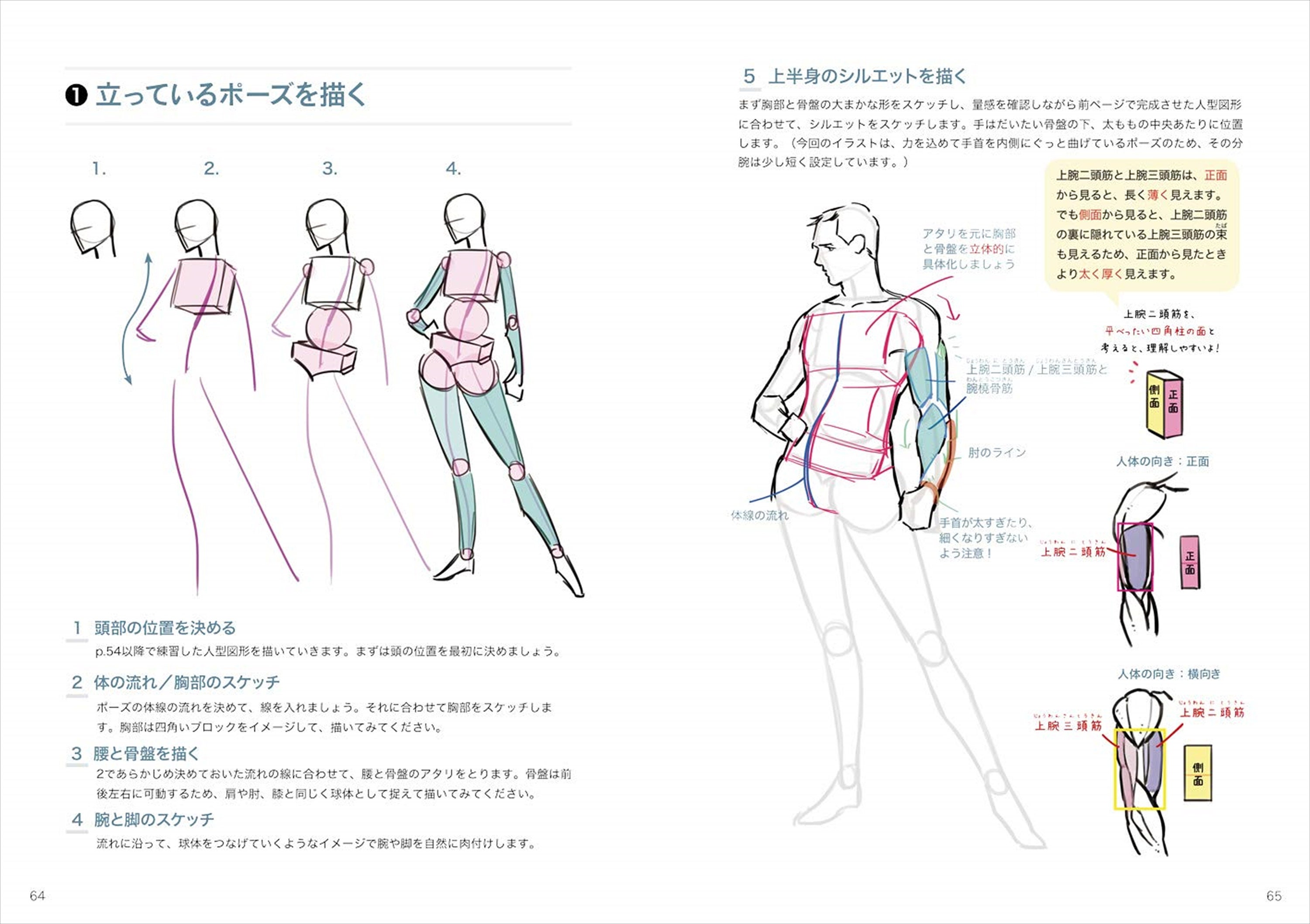 How To Draw Manga Male Body Step By Step