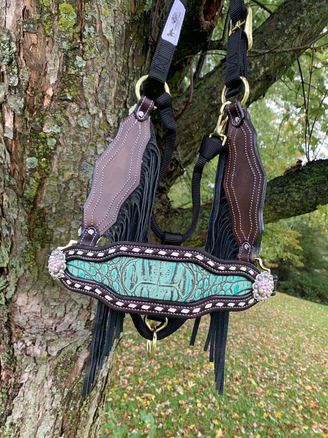 3 Piece Bronc Halter with Fringe Etsy