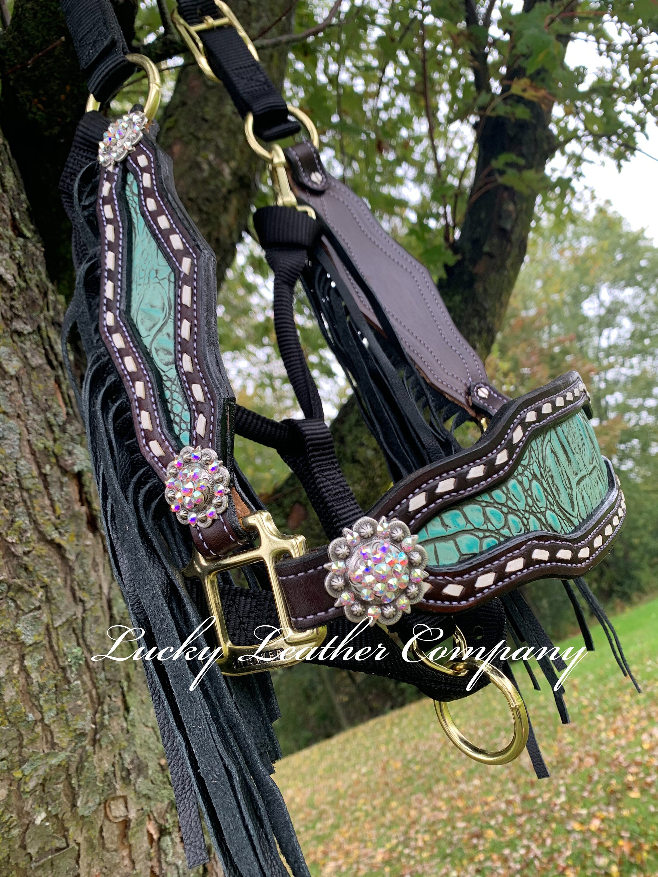 Custom Handmade Cheetah Print Bronc Halter – Jopps Tack