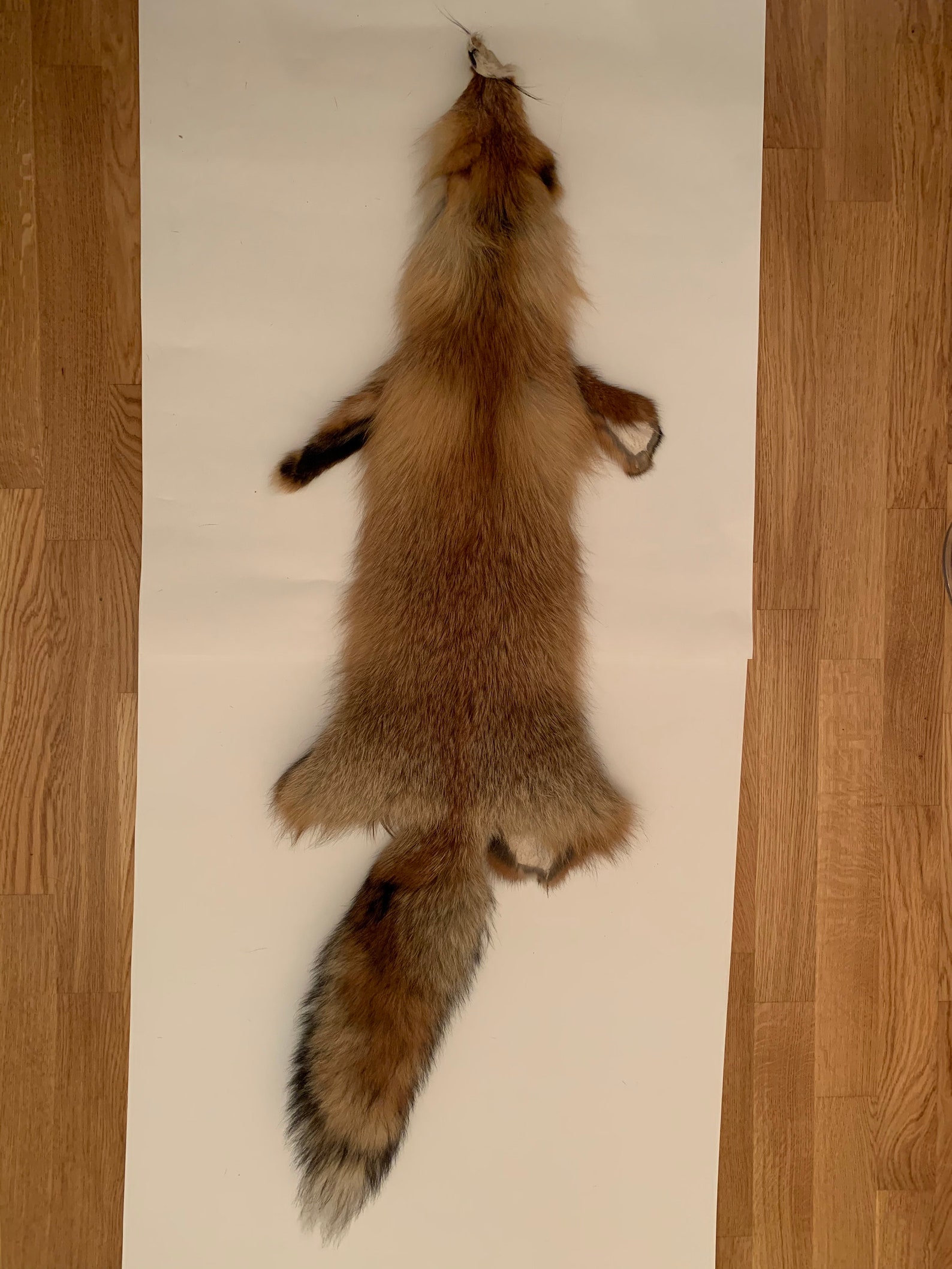 Fox pelt / Siberian fox pelt / Red fox pelt / Animal pelt / | Etsy