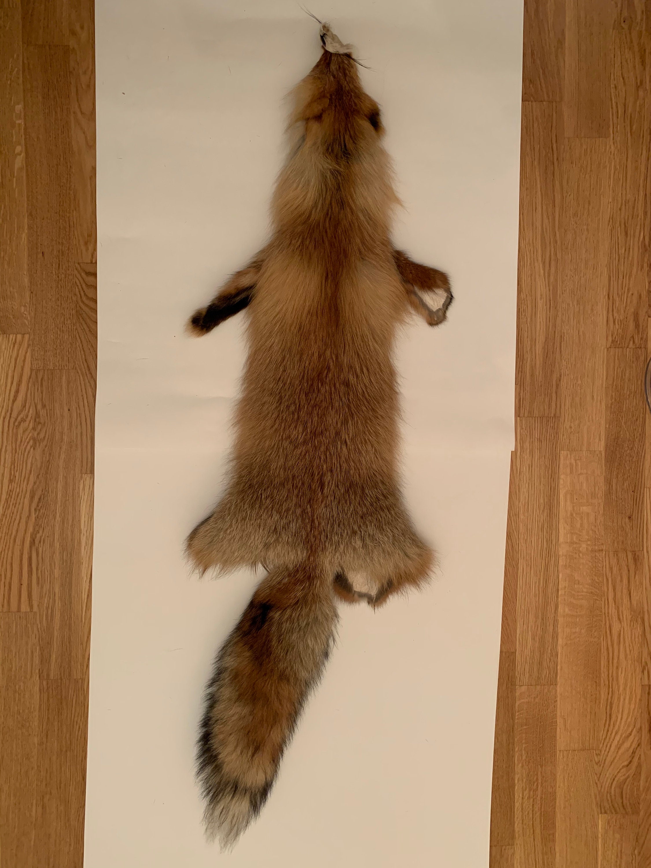 Fox pelt / Siberian fox pelt / Red fox pelt / Animal pelt / | Etsy