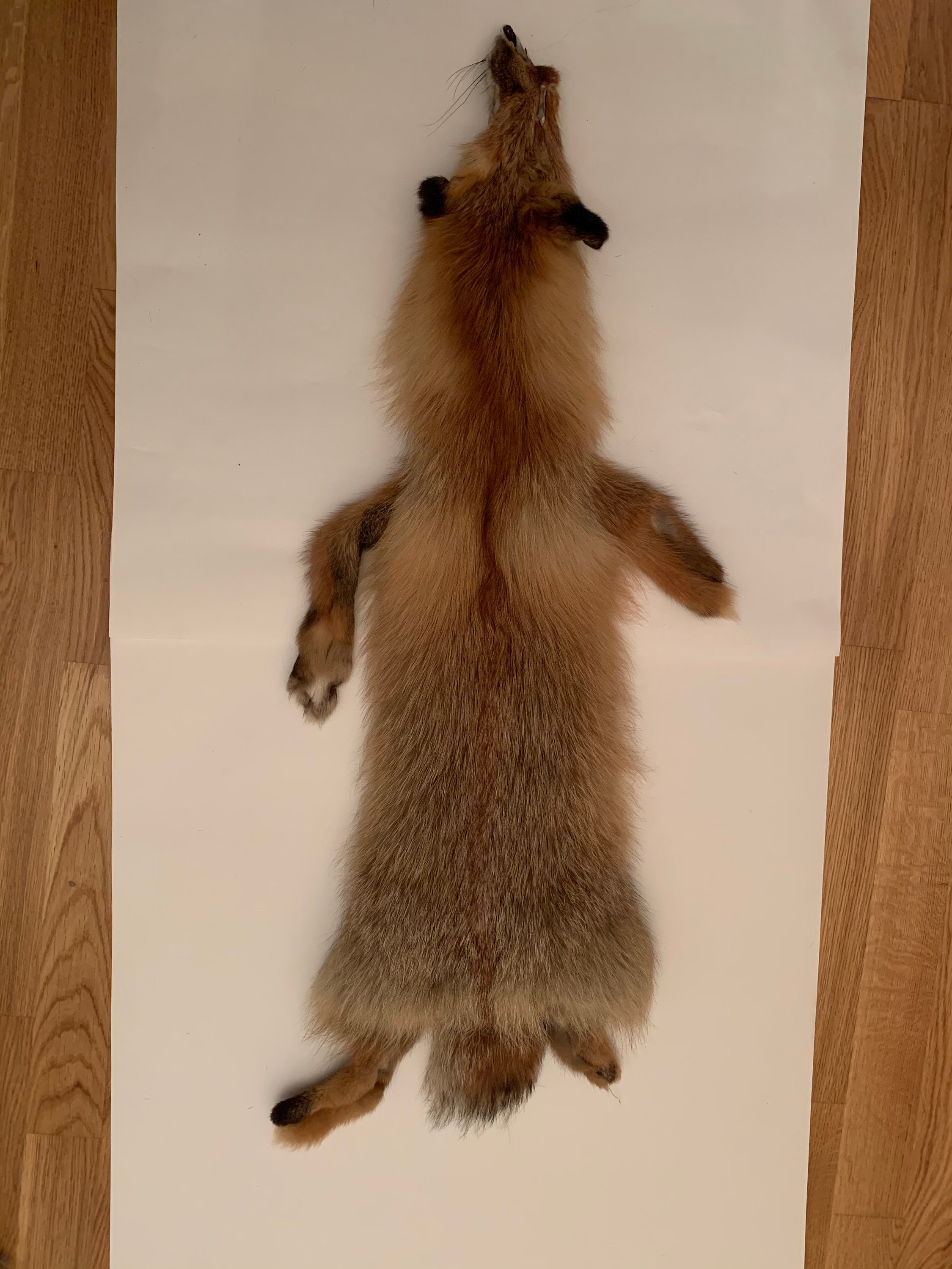 Fox pelt / Siberian fox pelt / Red fox pelt / Animal pelt / | Etsy